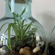 Aran Terrarium with Cork Lid 31cm Round