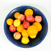 Spanish Hand Painted 39cm Extra Large Bowl