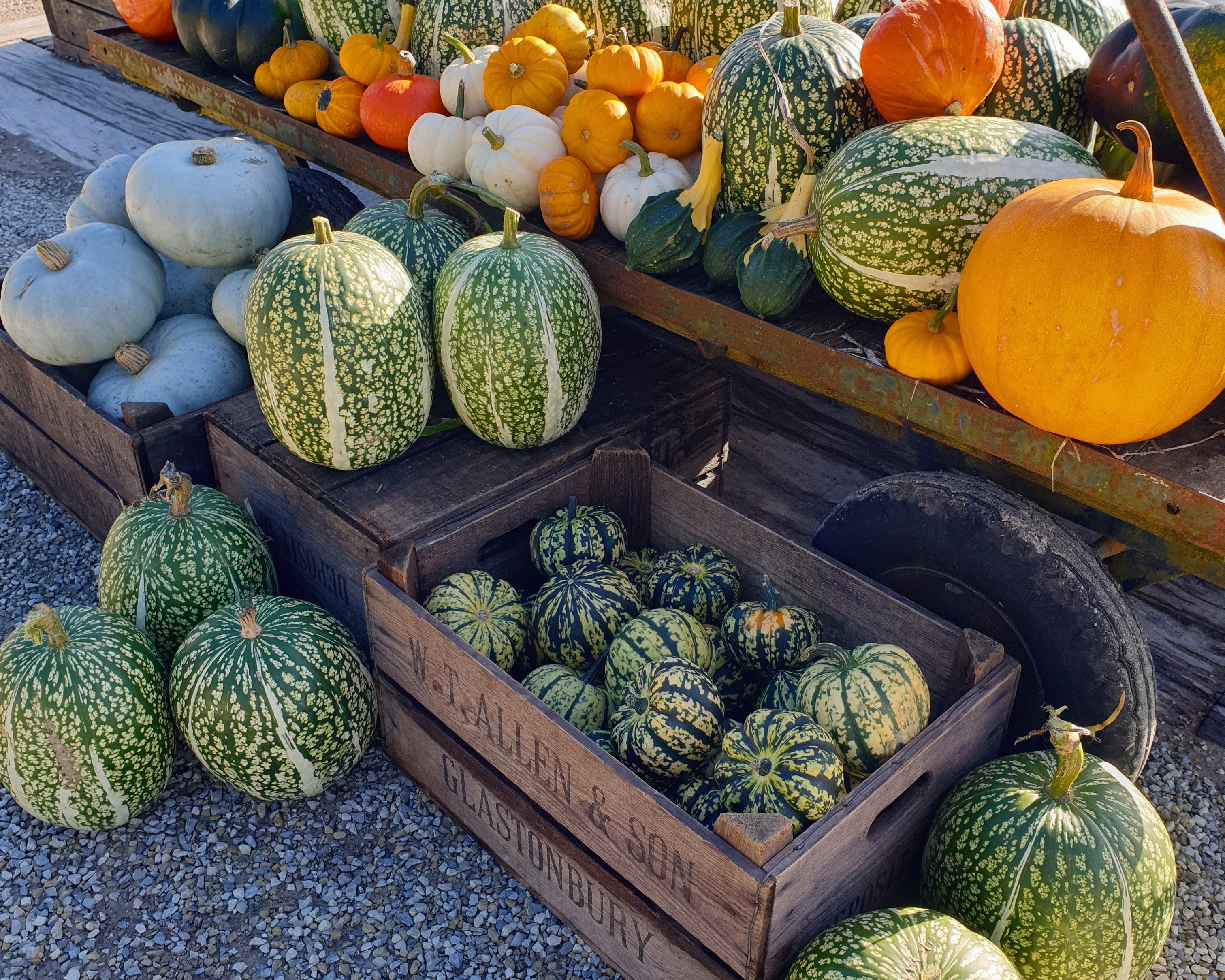 How to Make Your Home Feel Cosy for Autumn | Jarapa