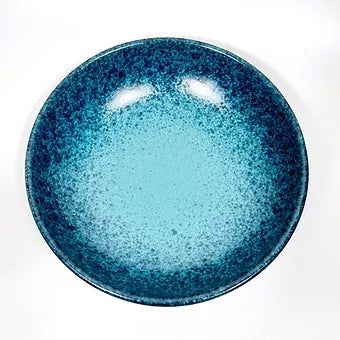 29cm Large Bowl